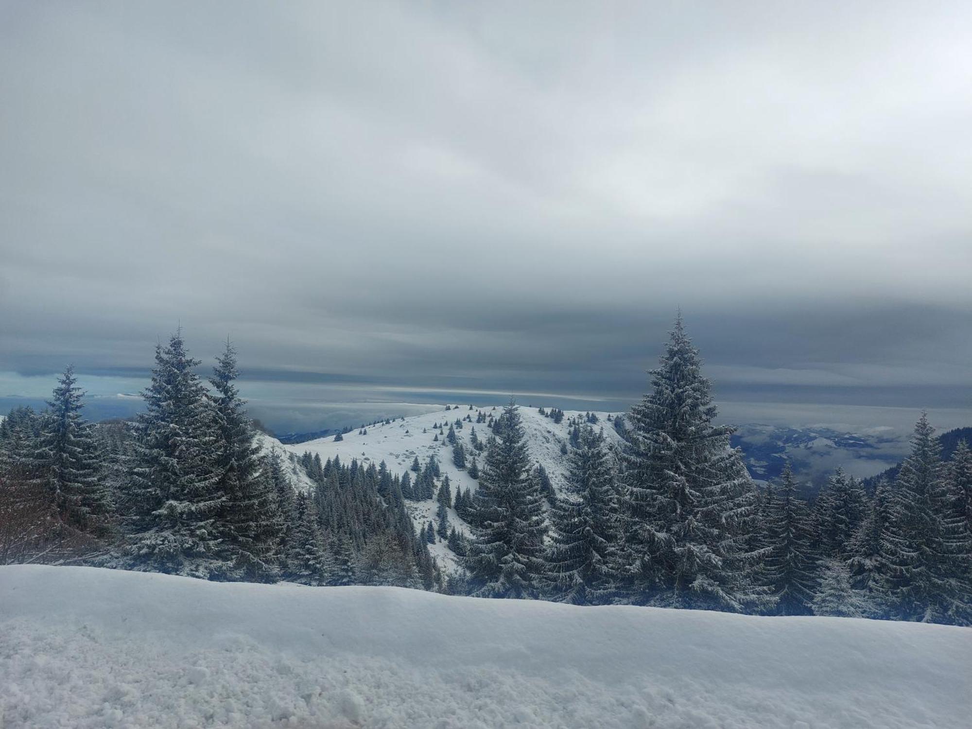 Apartman Milly Kopaonik Zewnętrze zdjęcie